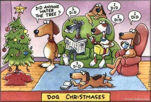 dog-waters-christmas-tree-funny-christmas-pictures.jpg